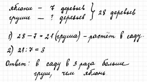 Всаду растут яблони и груши,всего 28 деревьев.из них 7 яблонь,остались груши.во сколько раз больше г