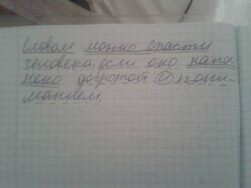 Сделайте полный синтаксический разбор предложения: словом можно человека, если оно наполнено доброто