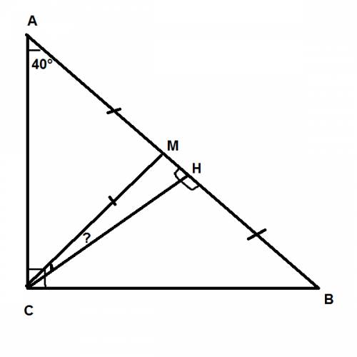 Впрямоугольном треугольнике abc угол c равен 90,угол a - 40.найдите угол между медианой и высотой,пр