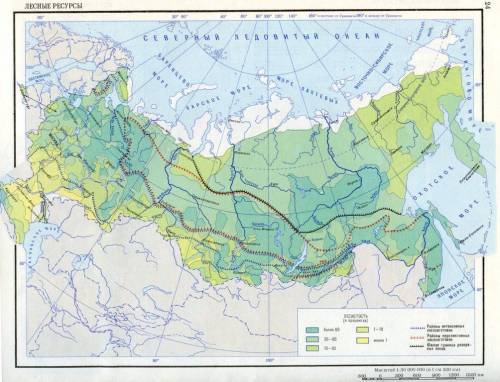 Лесные ресурсы росии и их размещение