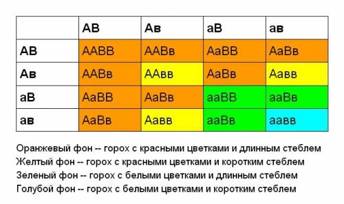 При скрещивании 2-х гомозигот гороха с красными цветками и длинным стеблем с сортом белыми цветками