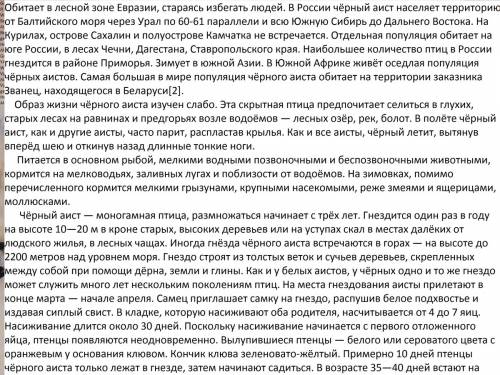 Доклад о чёрном аисте по окружающему миру