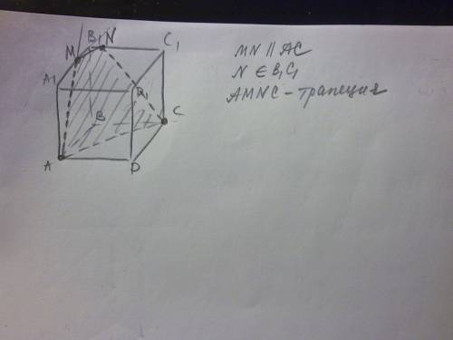 Решить! дан куб . проведите сечение через вершины a, c и точку m, взятую на ребре a1b1. определите в