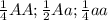 \frac{1}{4}AA; \frac{1}{2}Aa; \frac{1}{4}aa \\