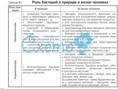 Какую роль играют бактерии в природе и жизни человека. напишите кратко