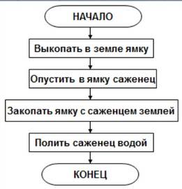 Приме ры алгоритмов в быту: линейный, циклический, разветвляющий