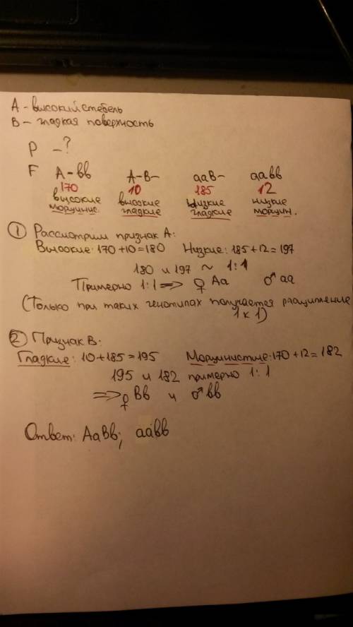 Угороха посевного высокий стебель доминирует над низким, гладкая поверхность семян над морщинистой .