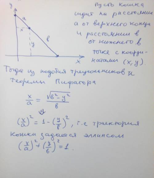 Кошка сидит на лестницы, преслоненой к стене. концы лестницы начинают скользить по стене и полу.како