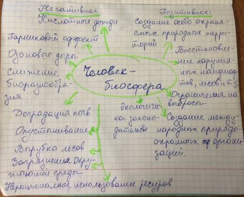 место и роль человека в современной биосфере желательно в виде кластера