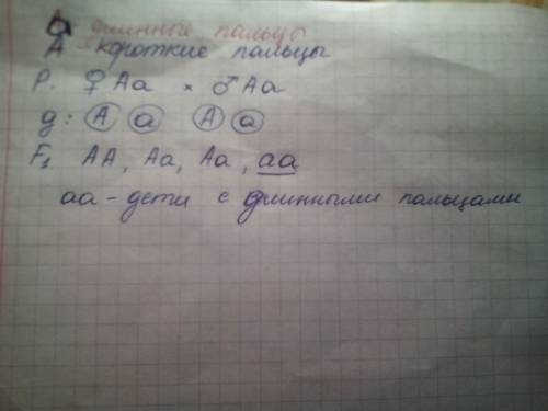 Брат і сестра мають довгі пальці. у їхніх батьків пальці короткі . яким є генотип батьків?