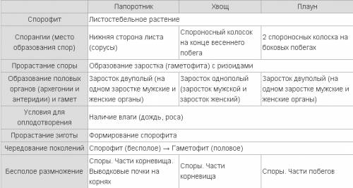 Напишите питания плаунов, хвощей и папоротников. ещё их размножения.