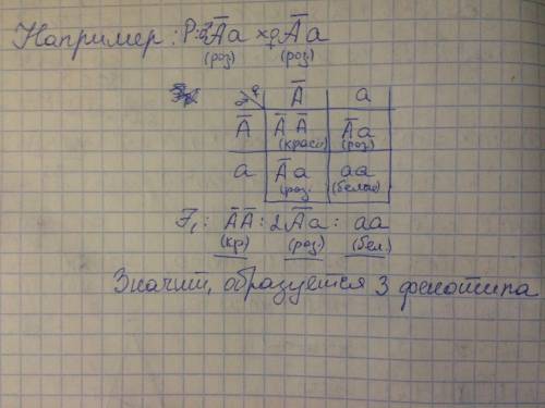 Сколько разных фенотипов можно ожидать от скрещивания двух гетерозигот при не полном доминировнии a)