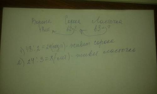 2ворона может прожить 48 лет, сорока - в 2 раза меньше , чем ворона, а ласточка - в 3 раза меньше ,