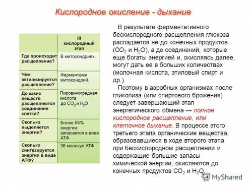 Какие вещества являются конечными продуктами при кислородном расщеплении? а) глюкоза и вода б) молоч