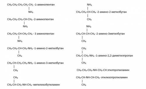 Изобразить структурные формулы c5h13n