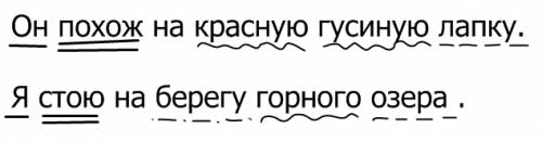 Он похож на красную гусиную лапку. я стаю на берегу горного озера . разобрать по членам предложения