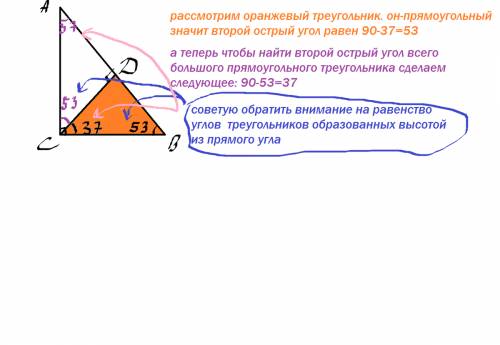 Втреугольнике abc угол c- прамой.найдите его острые углы если угол между высотой cd и катетом bc рав