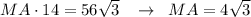 MA\cdot 14=56 \sqrt{3} \,\,\,\,\, \to \,\,\,MA=4 \sqrt{3}