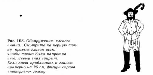 Какими опытами можно обнаружить функции зрачка и хрусталика