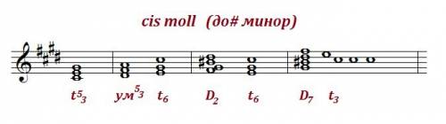 Постройте в до диез миноре т53, уменьшенное т53, д2 и д7 с разреш !