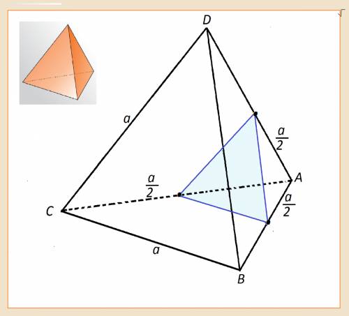 Ребро правильного тетраэдра dавс равно а. постройте сечение тетраэдра, проходящее через середины реб