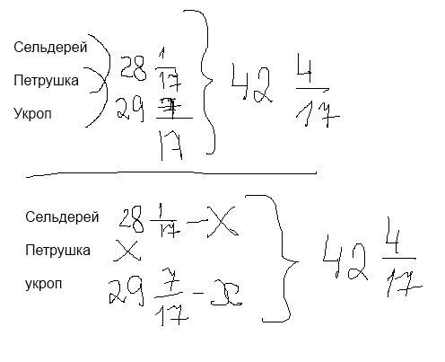 Зелени 42 целых 4 дробь 17 кг. петрушки и укропа 29 целых 7 дробь 17 кг, петрушки и сельдерея 28 цел