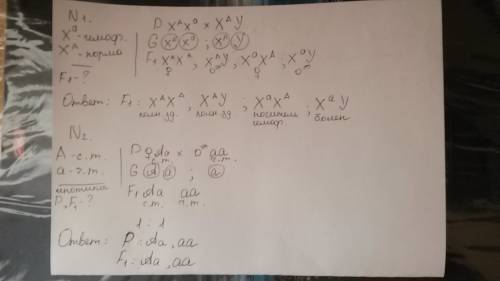 Решить , ) 1: ген гемофилии - рецессивный признак. он локализован в х хромосоме. какими будут дети о