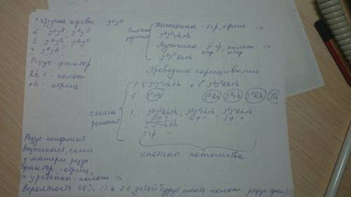 Уженщины первая группа крови и отрицательный резус-фактор. у мужчины третья группа крови (гетерозиго