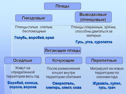 Нужна таблица: птицы по типу гнездования . биология 7 кл.