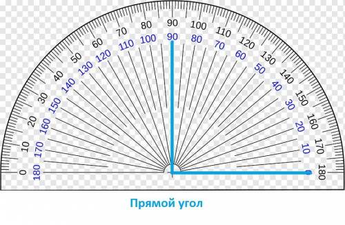 Сколько градусов составляет прямой угол, развернутый угол, тупой угол, острый угол?