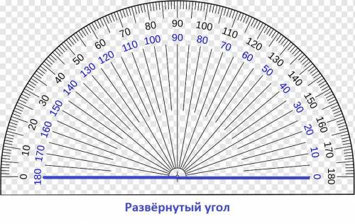 Сколько градусов составляет прямой угол, развернутый угол, тупой угол, острый угол?