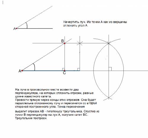 Постройте прямоугольный треугольник по катету и противоположному углу.