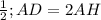 \frac{1}{2}; AD=2AH