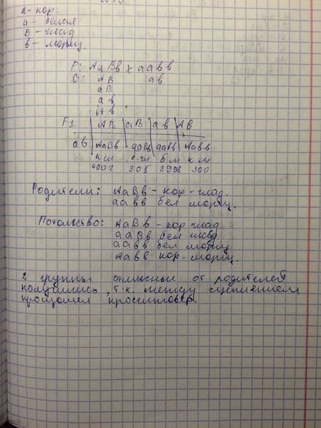 Моно- и дигибридное скрещивание. составить по 2 генетических (условие + решение) на использование за