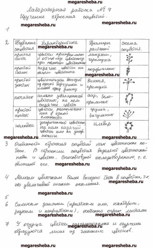 Лабараторная №7 по биологии 7 класс