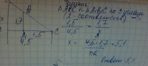 Человек рост которого равен 1 м 70 см , стоит рядом с деревом .найдите высоту дерева (в метрах),если