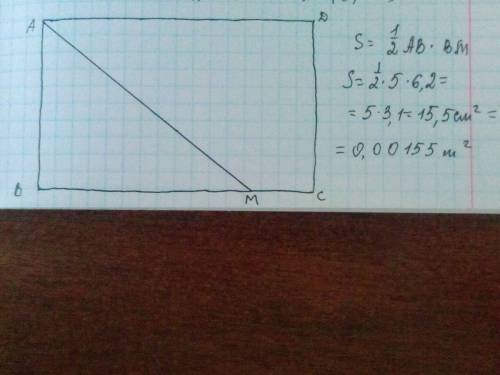 Постройте прямоугольник abcd со сторонами ab=5см, ad=8см. проведите луч am, пересекающий bc в точке