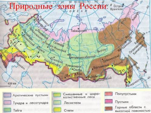 Природные зоны россии и их обитатели