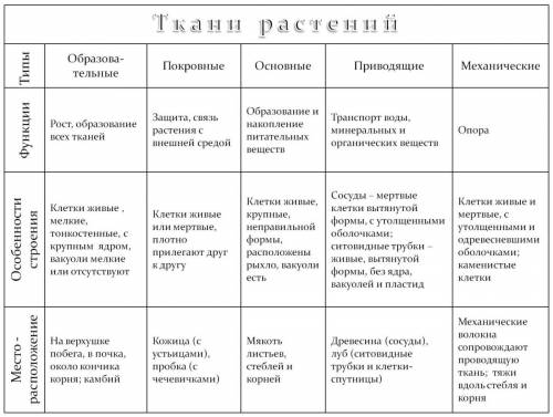 Строение и функции тканей растений( покровная,механическая,проводящая,образовательная, основная)