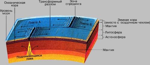 Отметьте на схеме строения дна океана место где происходит расхождение океанических плит литосферы с