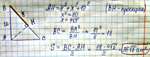 Катет прямого трикутника дорівнює 12см, а його пропорція на гіпотенузу-8.знайдіть площу трикутника?