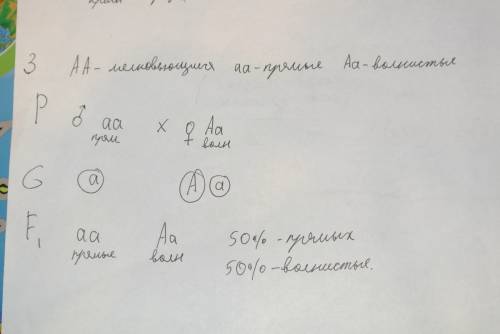 Желательно подробно! ) 1)красный цвет ягод земляники определяется геном неполного доминирования. по