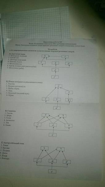 Составьте пищевые цепи и пищевые сети для различных сообществ