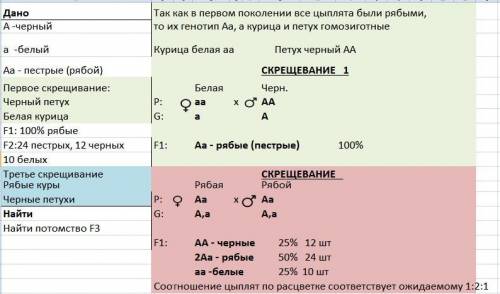 Від схрещування чорного півня з білою курицею всі курчата у виводку опинилися рябими. у другому поко