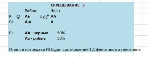 Від схрещування чорного півня з білою курицею всі курчата у виводку опинилися рябими. у другому поко