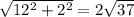 \sqrt{12^2+2^2} =2 \sqrt{37}