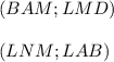 (BAM;LMD)\\&#10; \\ (LNM ; LAB)