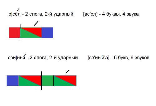 Составить схему слов : осёл, свинья.