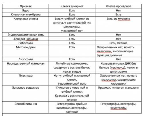 Талица сравнение клеток прокариот и эукариот