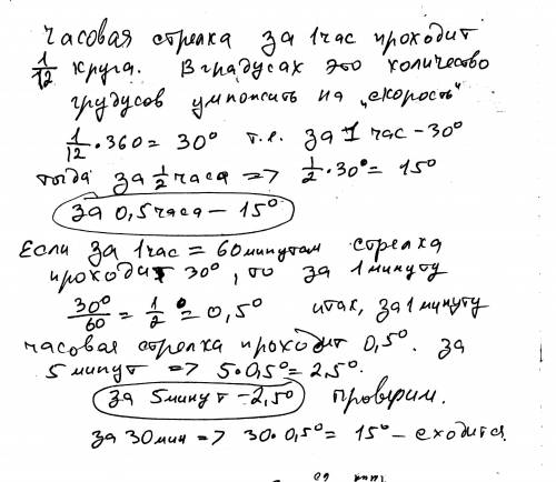 На какой угол поворачиваеться часовая стрелка часов в течение 0.5 часа, в течение 5 минут?